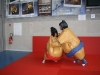 Metz-Moselle 2012 : Autour des tatamis