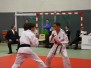 Metz Moselle Juniors 2013