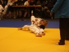 Tournoi de Basse-Ham 2015