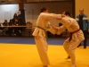 Tournoi de Basse-Ham 2015