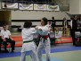Metz Benjamins 2013