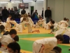 Tournoi de Thionville 2013 : poussins et mini-poussins