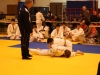 Tournoi de Basse-Ham 2013
