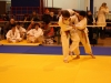 Tournoi de Basse-Ham 2013