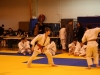 Tournoi de Basse-Ham 2013
