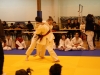Tournoi de Basse-Ham 2013