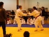 Tournoi de Basse-Ham 2013