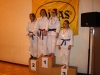 Tournoi de Basse-Ham 2013