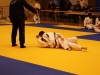 Tournoi de Basse-Ham 2013