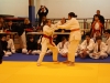 Tournoi de Basse-Ham 2013