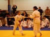 Tournoi de Basse-Ham 2013