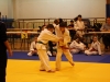 Tournoi de Basse-Ham 2013