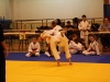 Tournoi de Basse-Ham 2013