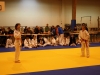 Tournoi de Basse-Ham 2013