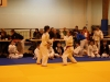 Tournoi de Basse-Ham 2013