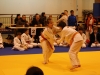 Tournoi de Basse-Ham 2013