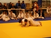 Tournoi de Basse-Ham 2013