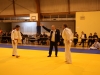 Tournoi de Basse-Ham 2013
