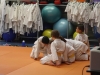 Petits Senshi - février 2013
