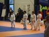 Petits Senshi - février 2013