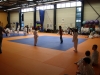 Petits Senshi - février 2013